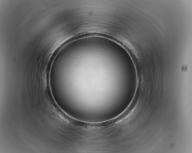 X0000094450782200711151426