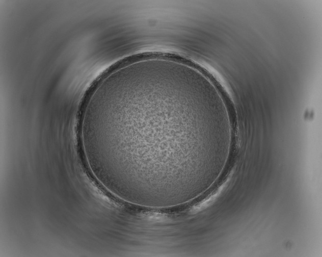 X0000094450783200711151426