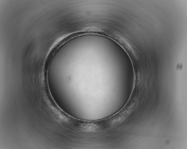 X0000094450784200711151426
