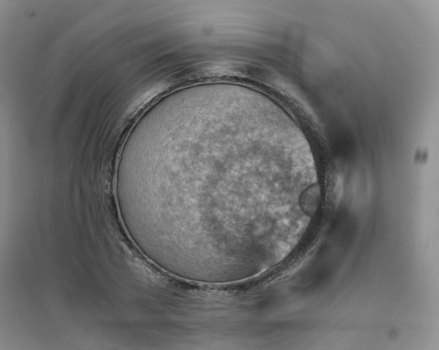 X0000094450785200711151426