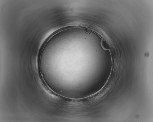 X0000094450788200711151426