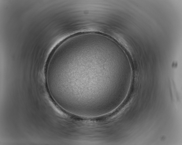 X0000094450789200711151426