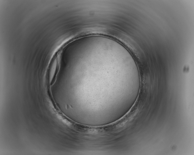 X0000094450790200711151426