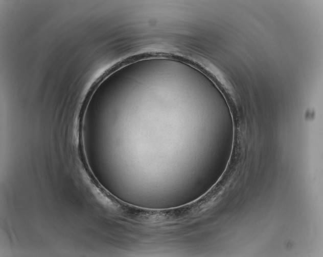 X0000094450791200711151426