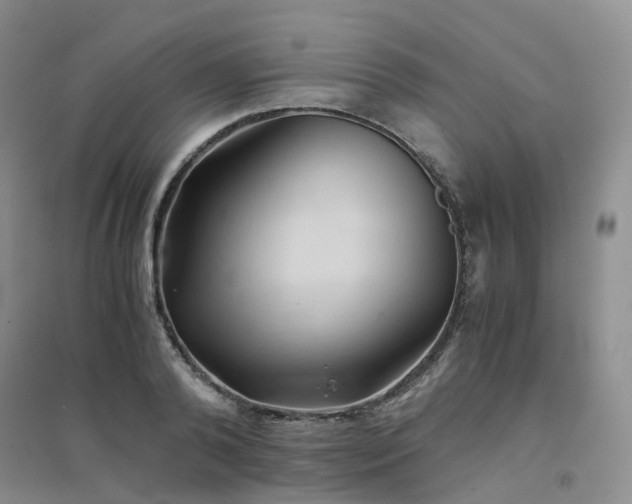 X0000094450792200711151426
