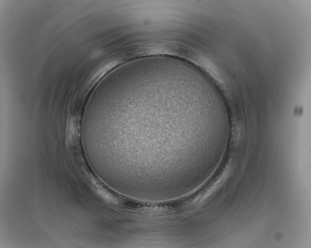 X0000094450793200711151426