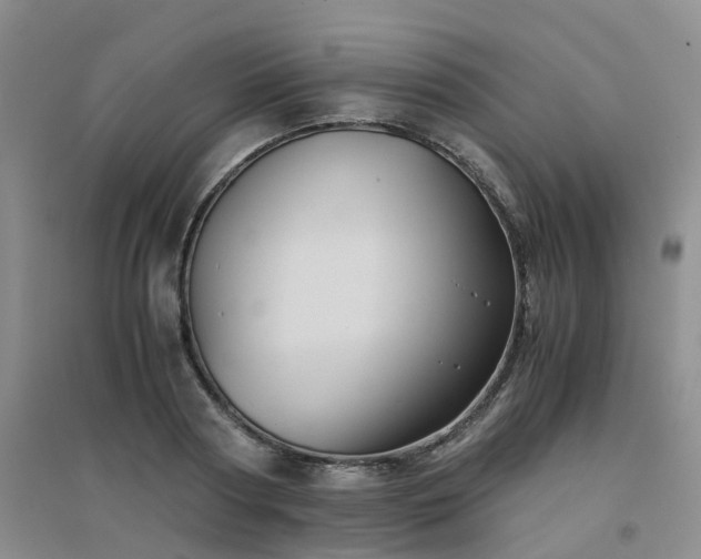 X0000094450794200711151426