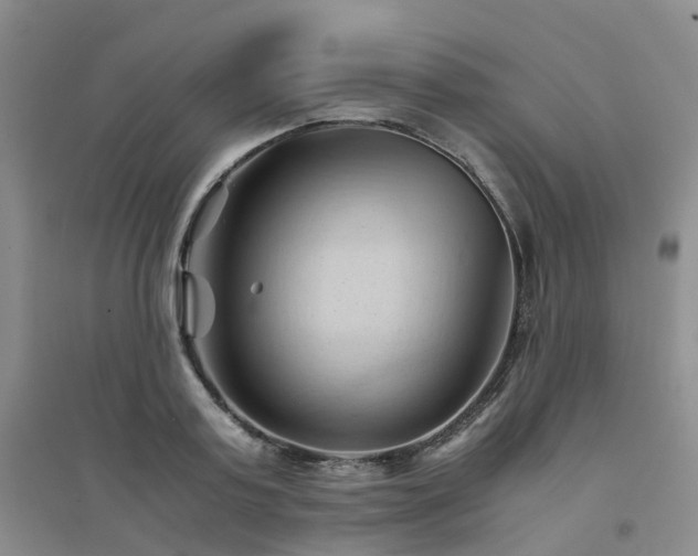 X0000094450795200711151426