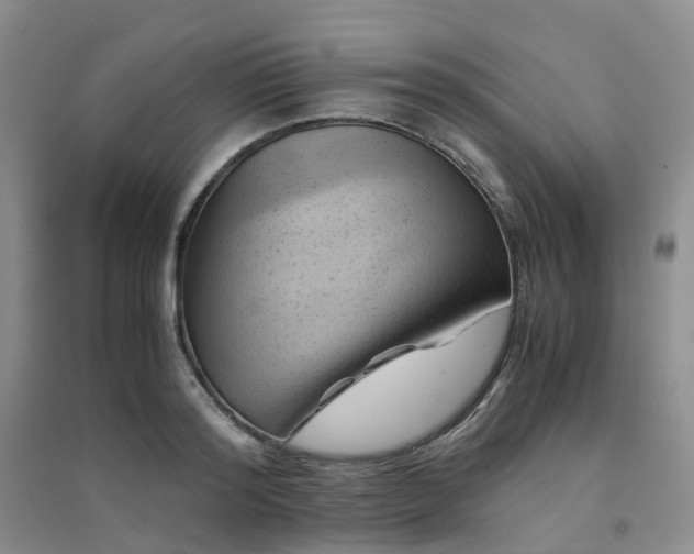 X0000094450796200711151426
