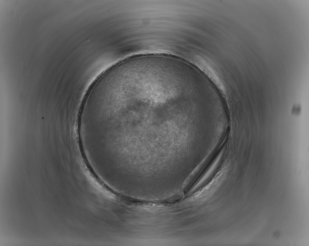 X0000094450797200711151426