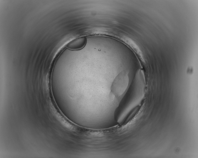 X0000094450798200711151426
