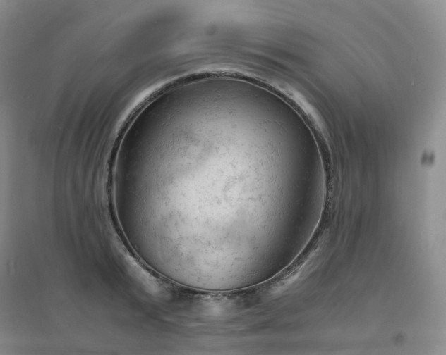 X0000094450799200711151426