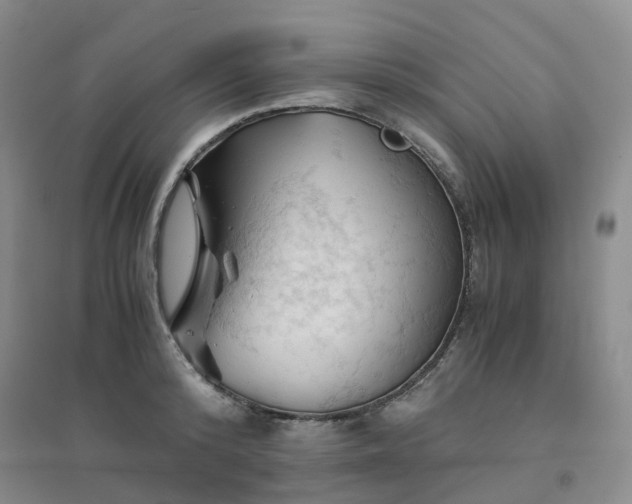 X0000094450800200711151426