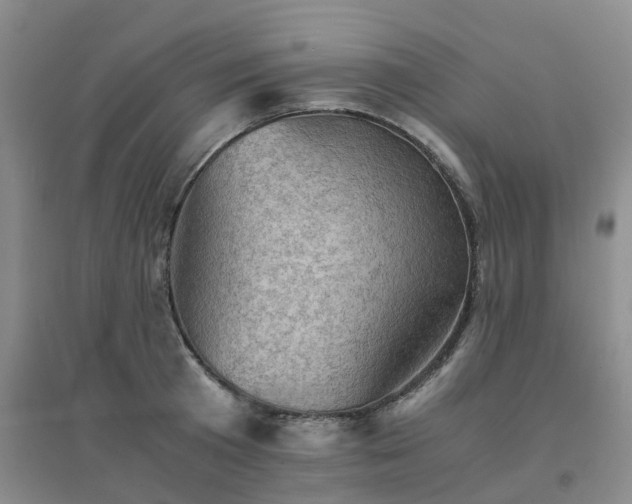 X0000094450801200711151426