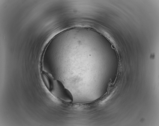X0000094450803200711151426