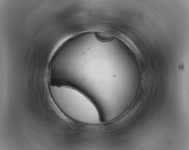 X0000094450804200711151426