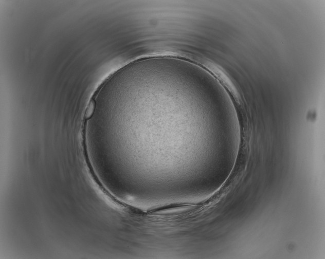 X0000094450805200711151426