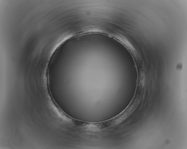 X0000094450806200711151426