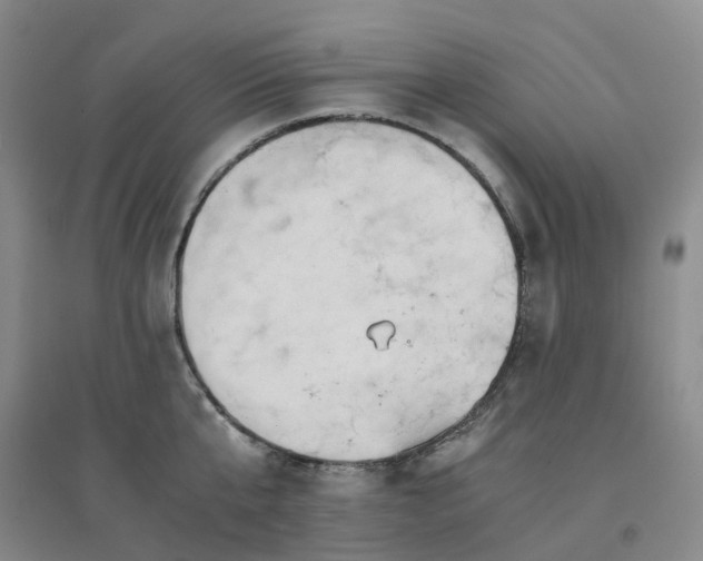 X0000094450807200711151426