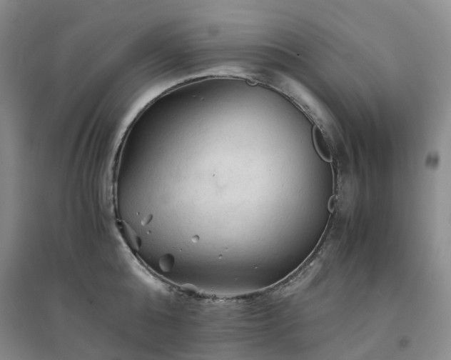 X0000094450808200711151426