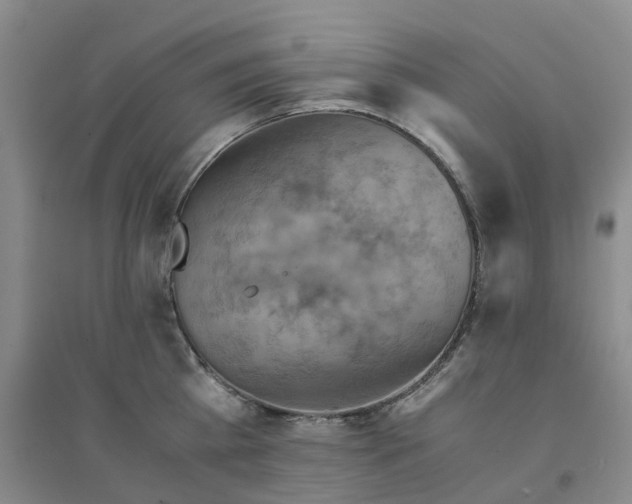 X0000094450809200711151426