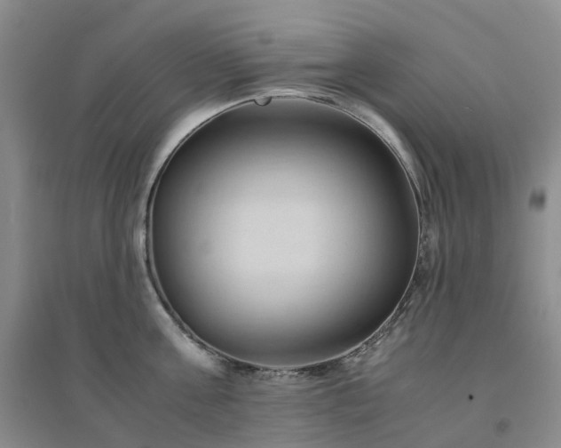 X0000094450811200711151426