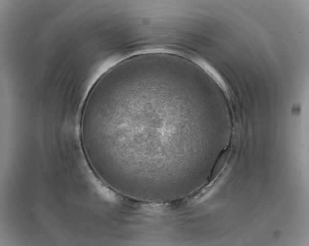 X0000094450813200711151426