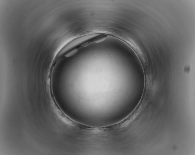 X0000094450814200711151426