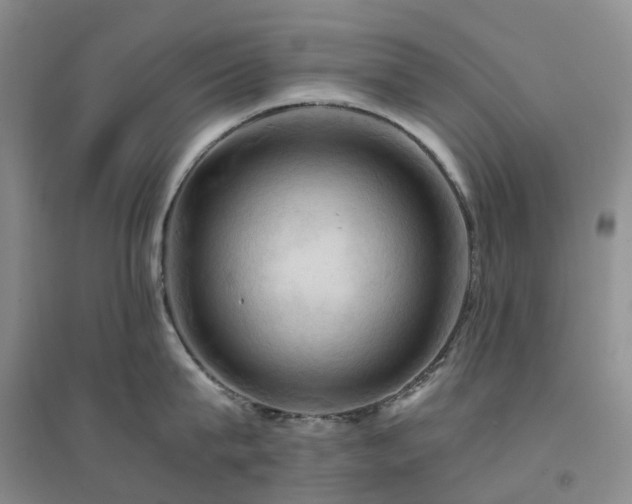 X0000094450815200711151426