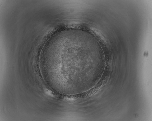 X0000094450817200711151425