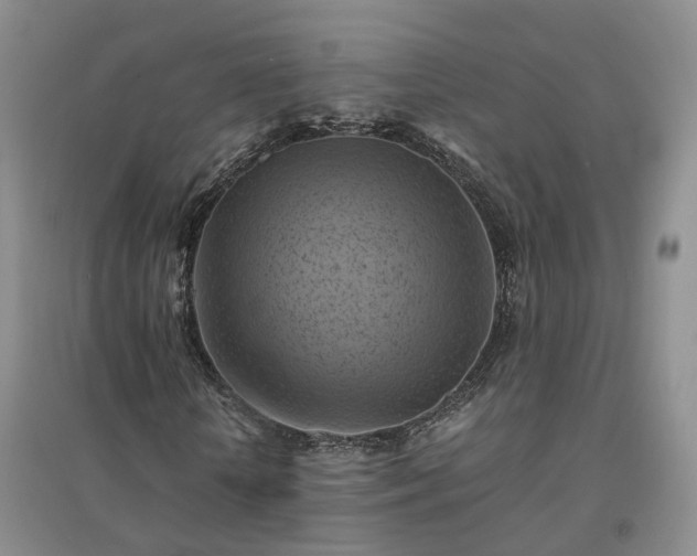 X0000094450818200711151425