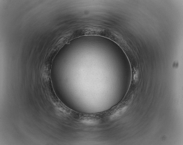 X0000094450819200711151425