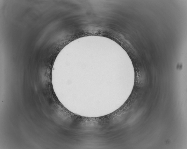 X0000094450820200711151425