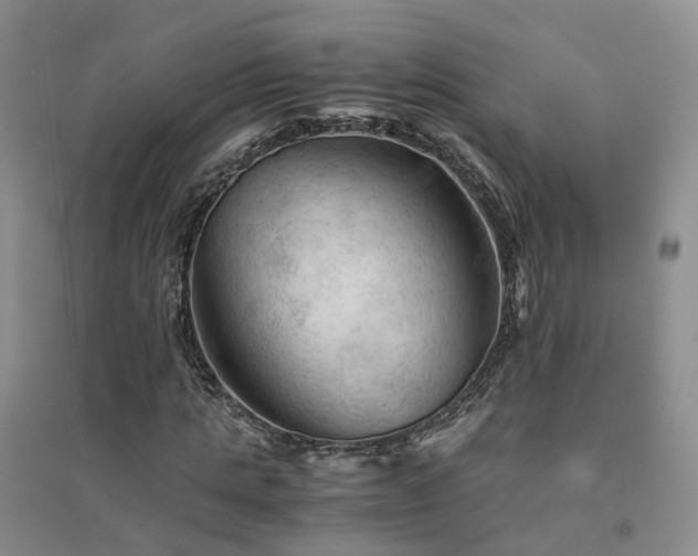 X0000094450821200711151425