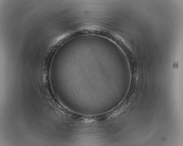 X0000094450822200711151425