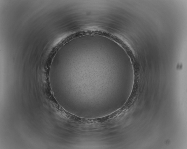 X0000094450823200711151425