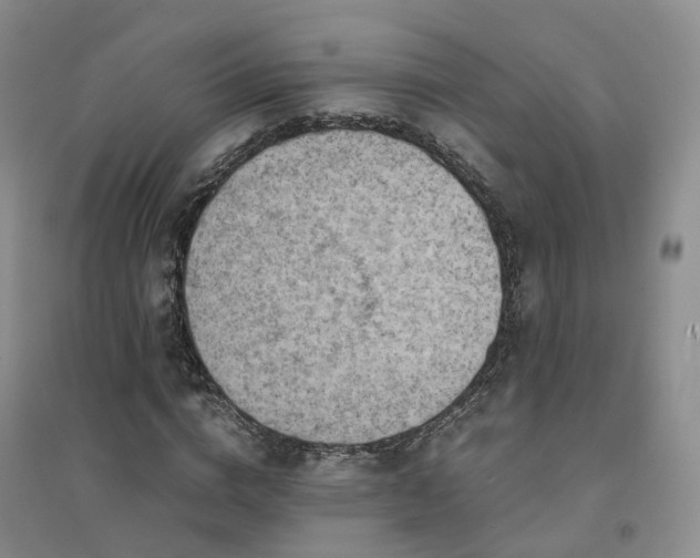X0000094450824200711151425