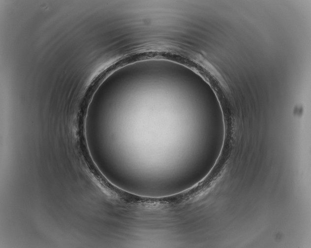 X0000094450826200711151425