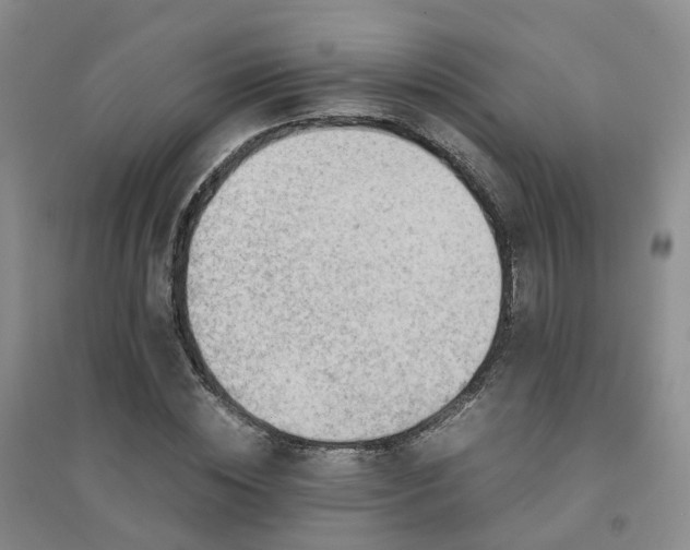 X0000094450828200711151425