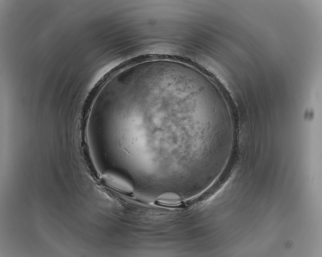 X0000094450829200711151425