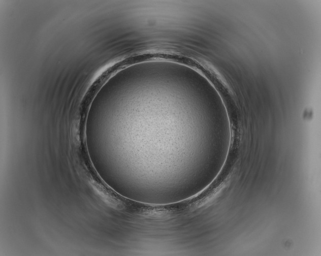 X0000094450830200711151425