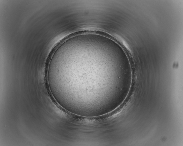 X0000094450831200711151425