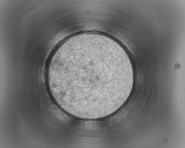X0000094450832200711151425