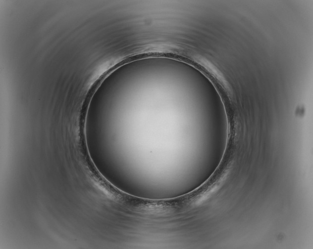 X0000094450834200711151425