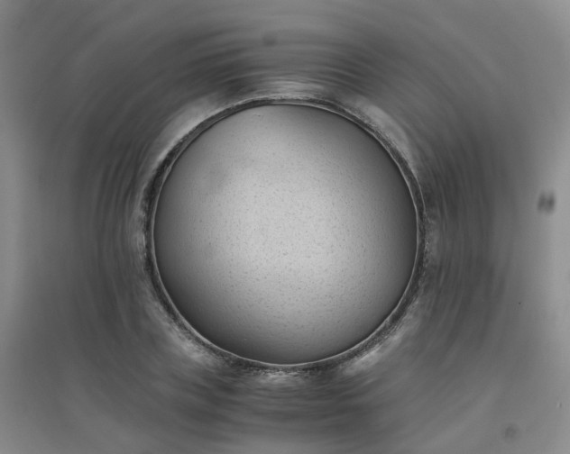 X0000094450835200711151425