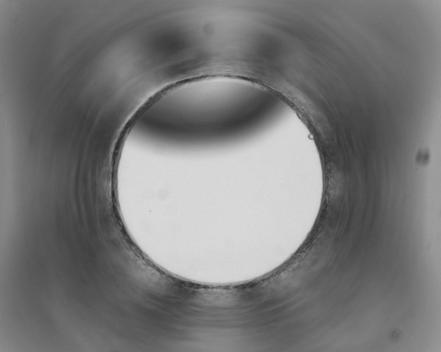 X0000094450836200711151425