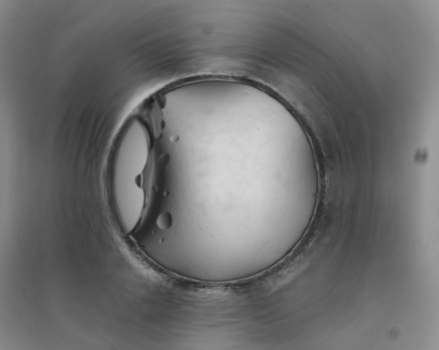 X0000094450838200711151425