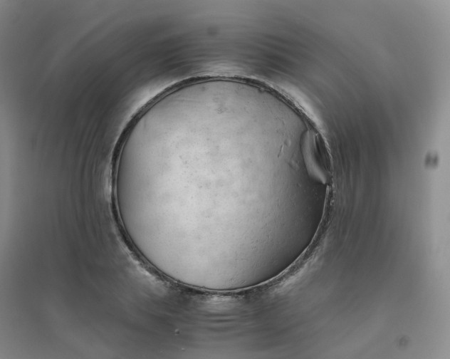 X0000094450839200711151425