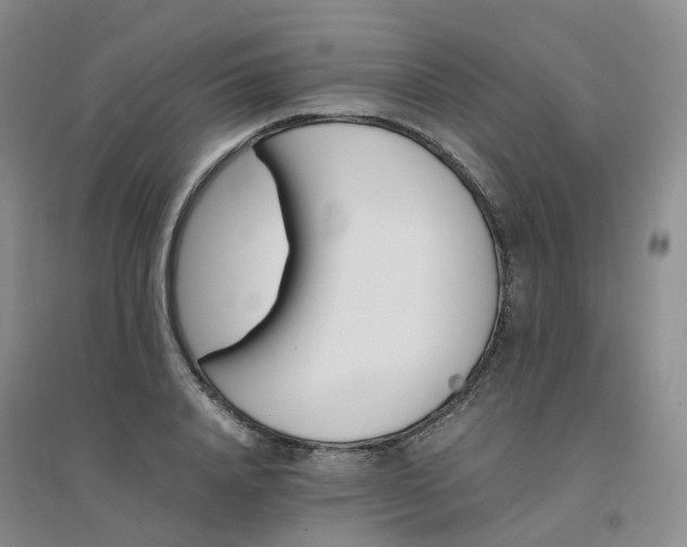 X0000094450840200711151425