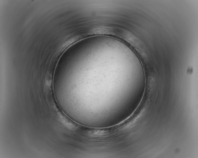 X0000094450841200711151425